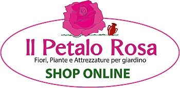 IL PETALO ROSA SNC